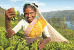indienne